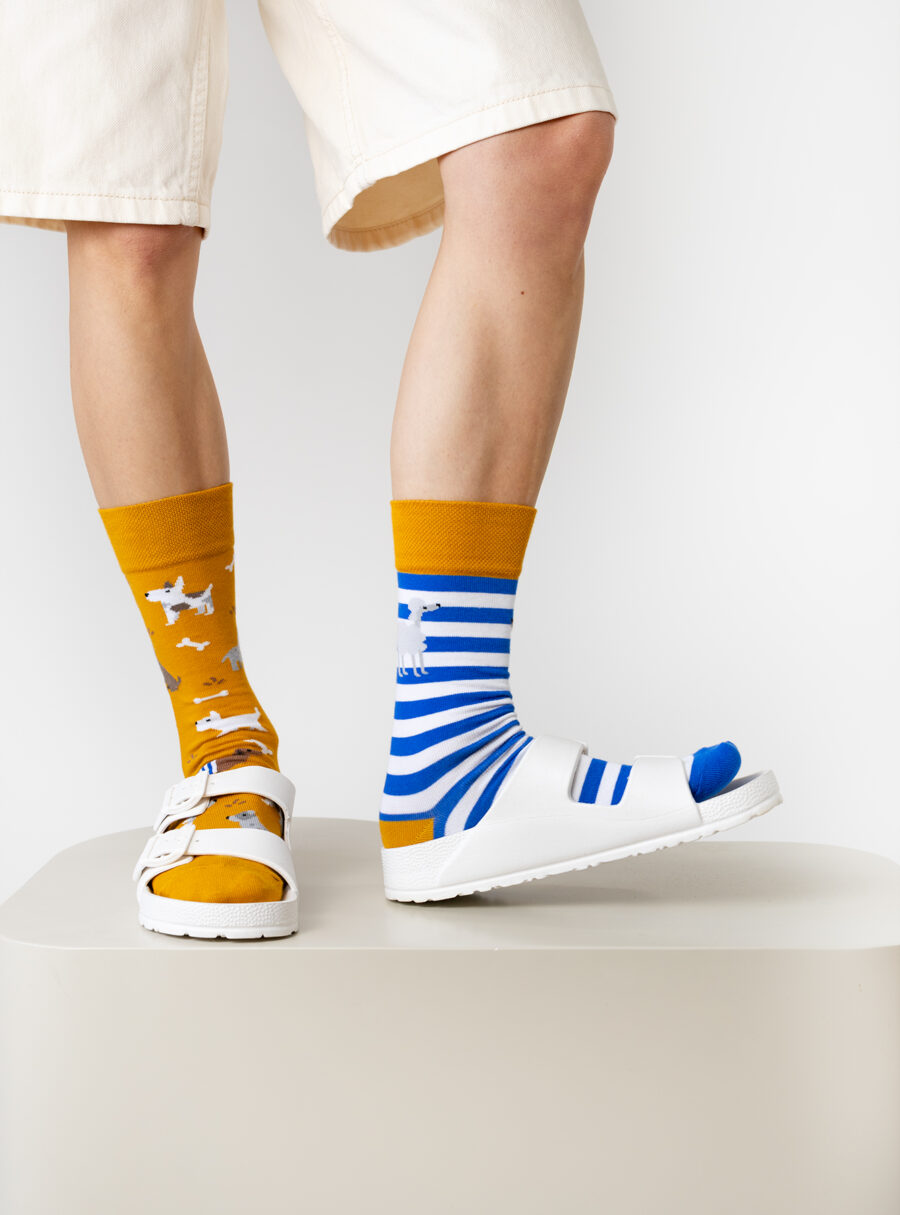 3H7A9339__ 3H7A9339__